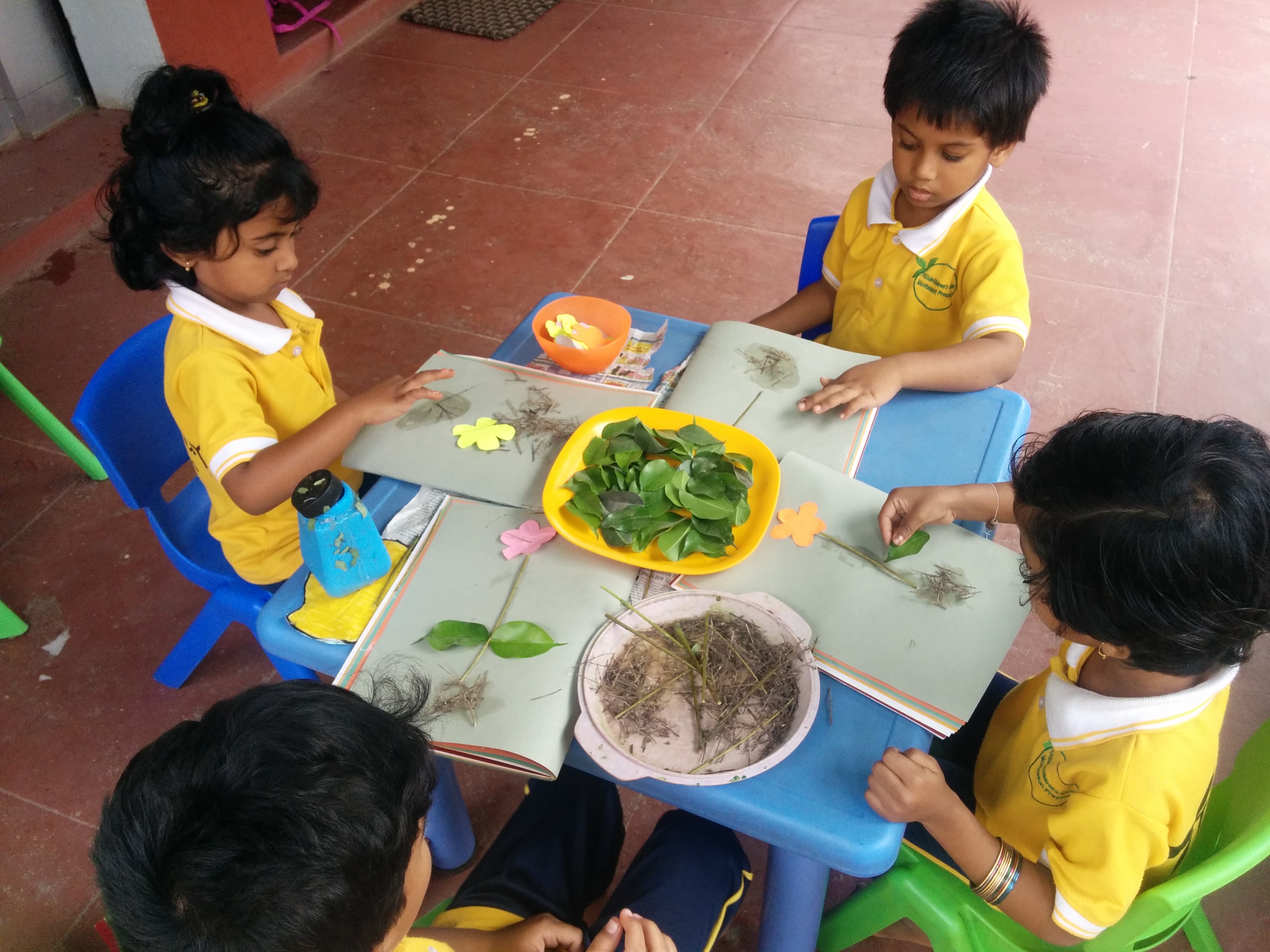 Child Learning Parts of Plant