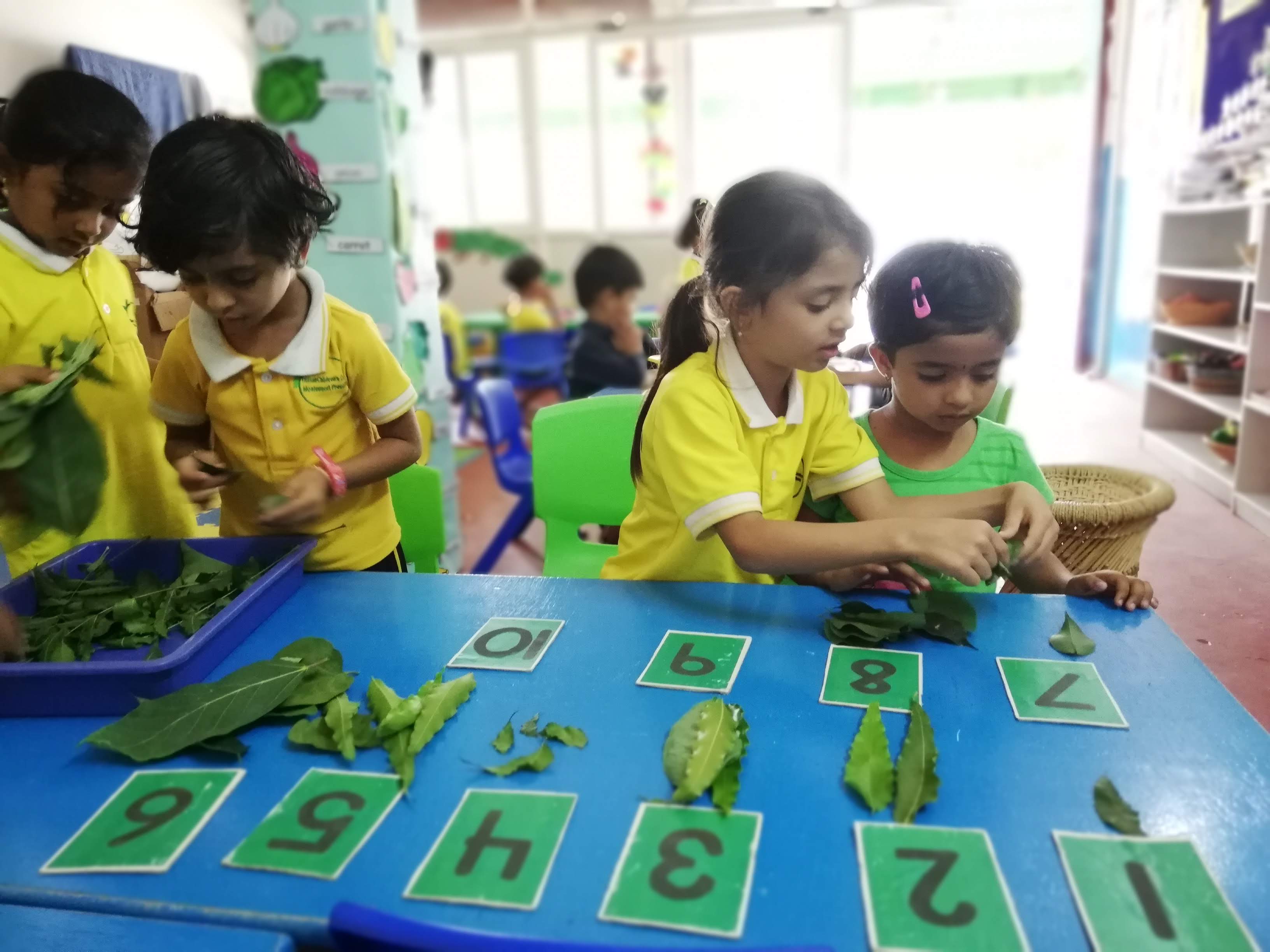 Child Counting leaves