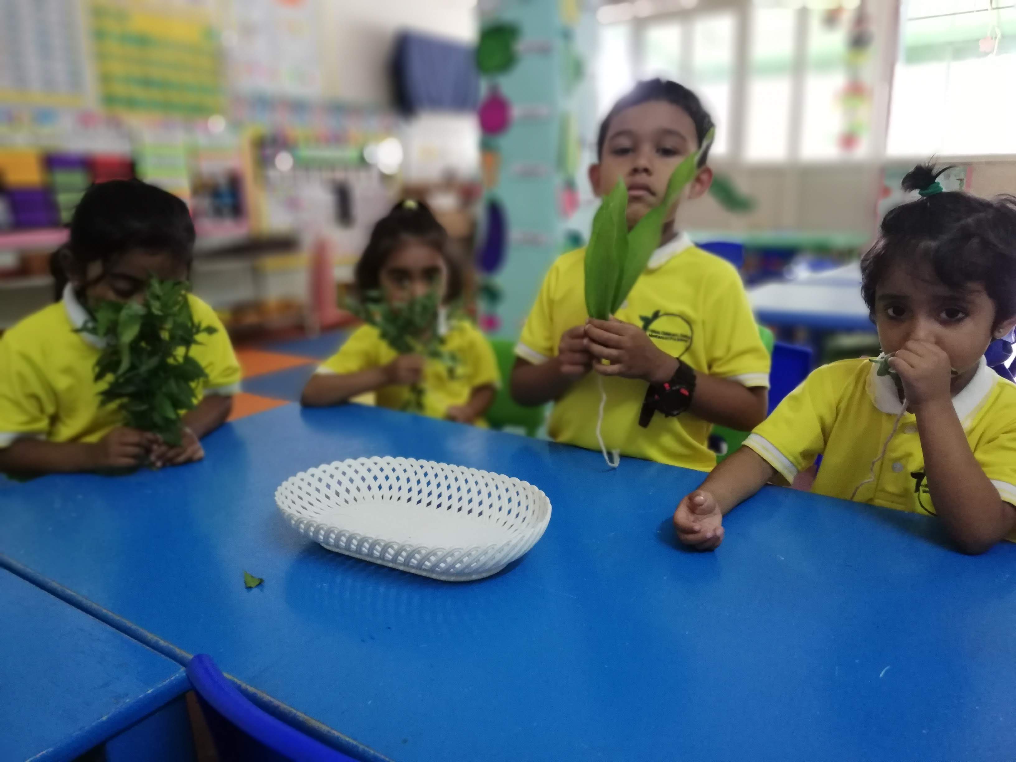 Child smelling herbs