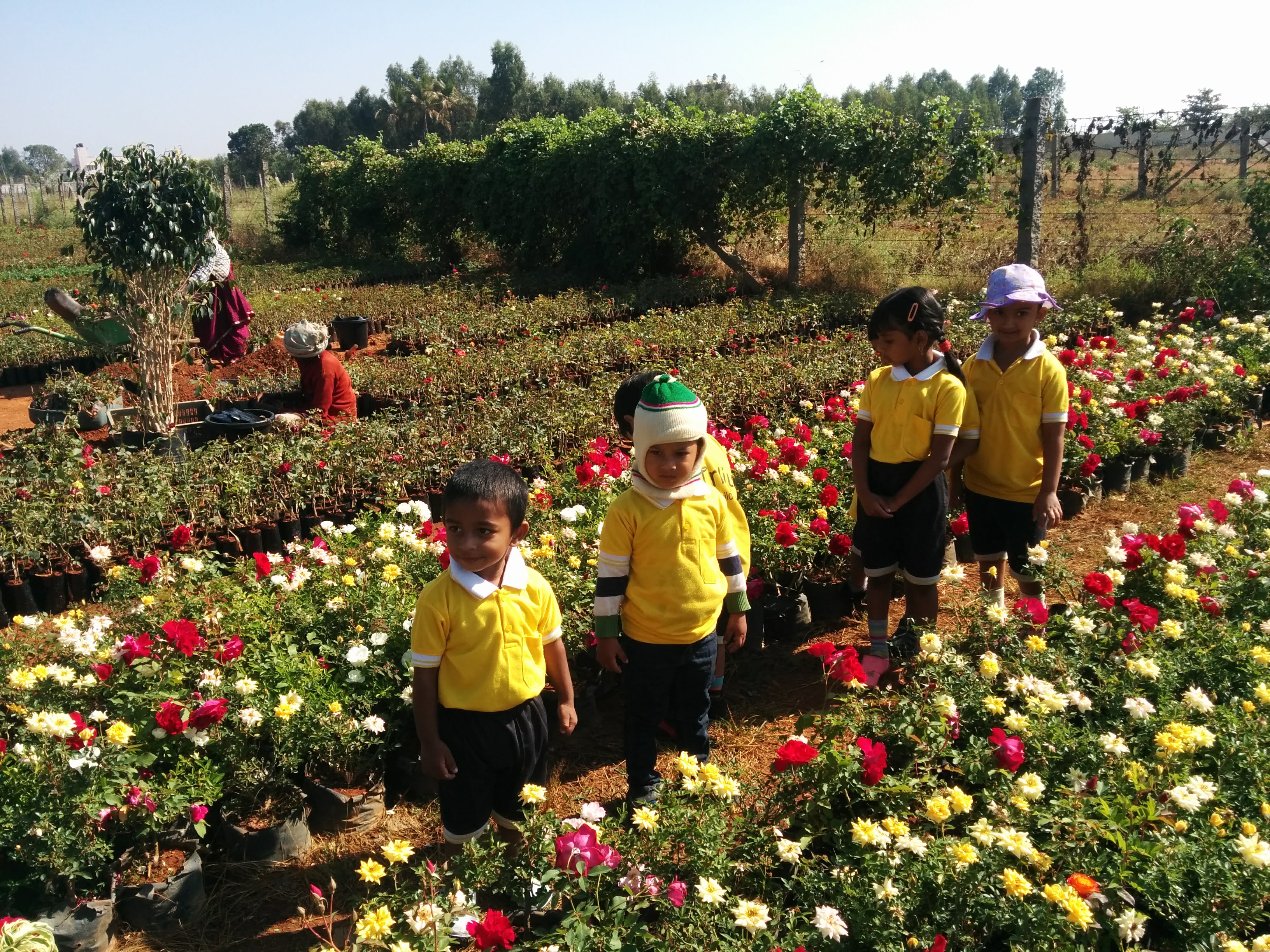 Kids trip to nursery