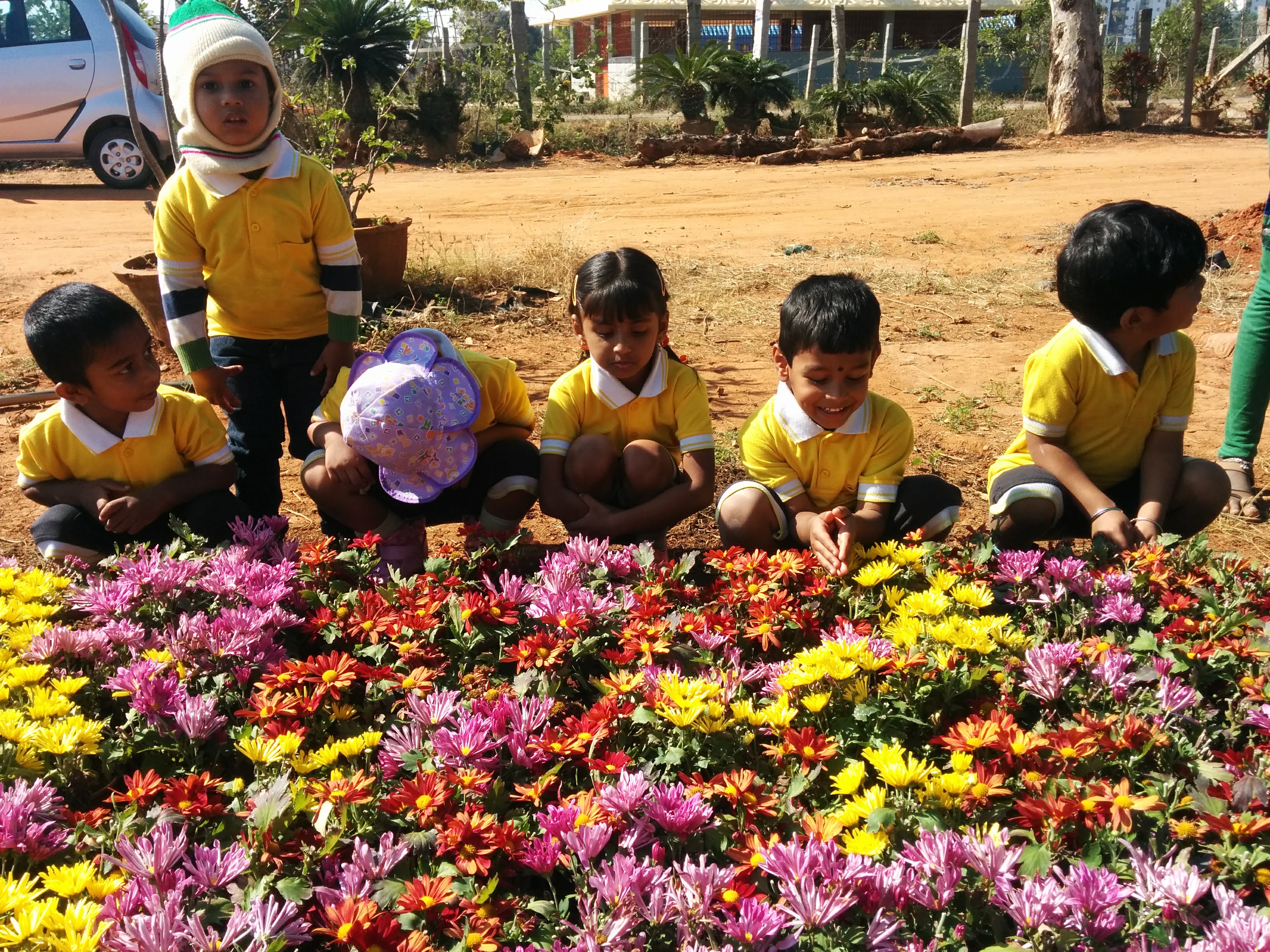 Kids observing different types of flowers